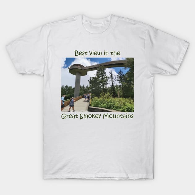 Best View in the Great Smokey Mountains (Clingmans Dome) T-Shirt by albinochicken